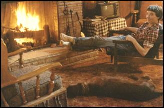 Cozy cabin